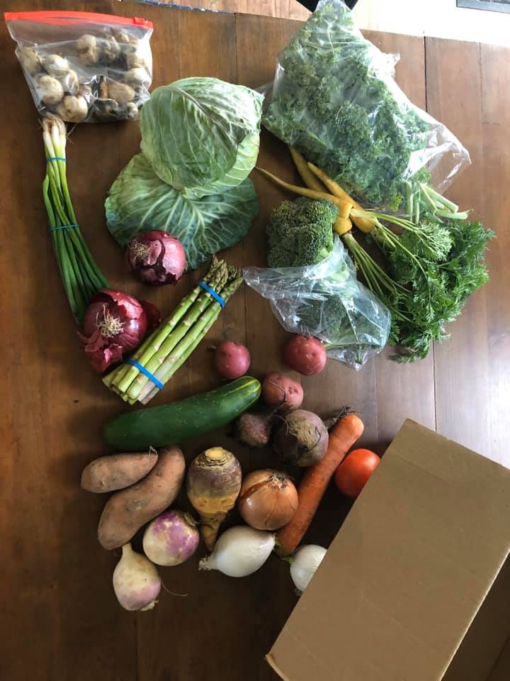 Weekly Veggie Box : March 29